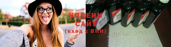 хмурый Пересвет