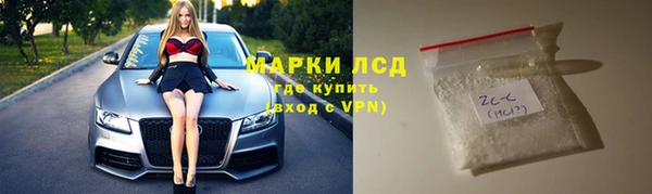 хмурый Пересвет