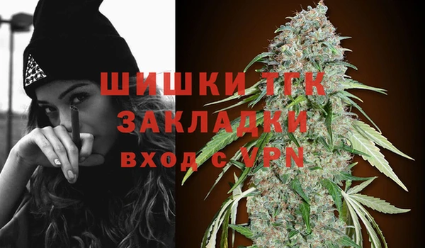 сатива Переславль-Залесский