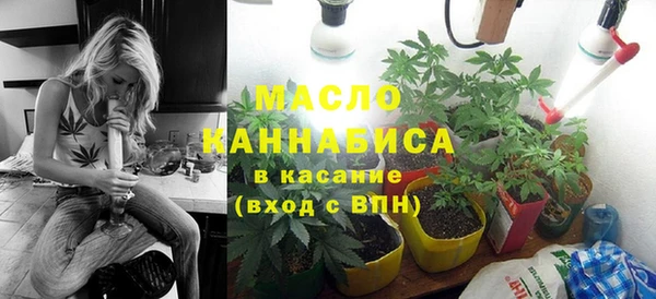 хмурый Пересвет