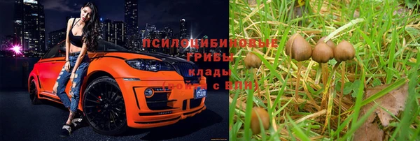 хмурый Пересвет