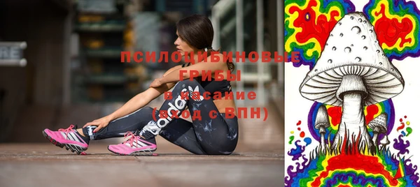 бутират Бородино